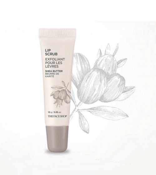 tay te bao chet The Face Shop Lip Scrub Shea Butter2 e1561033563961